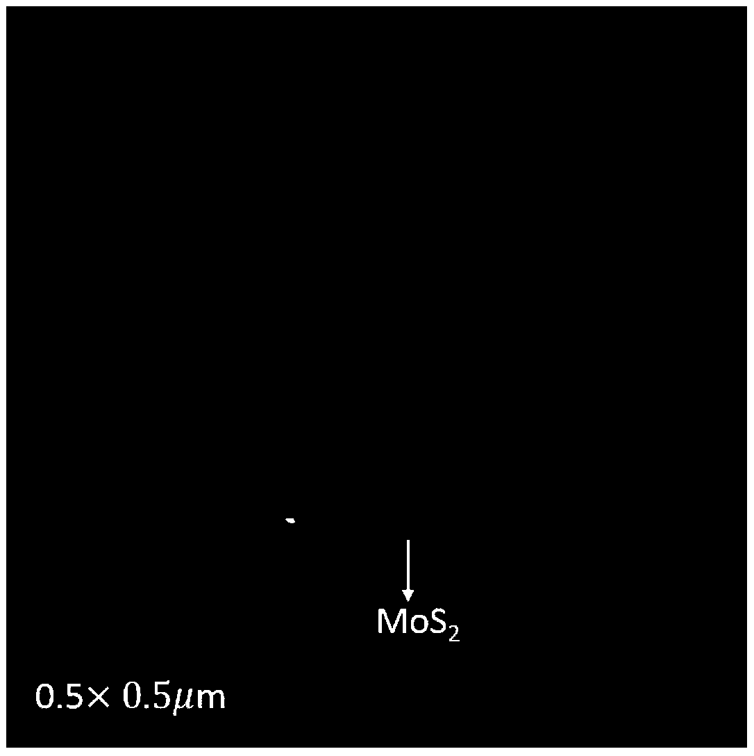 Method for preparing molybdenum sulfide two-dimensional material by adopting MOCVD equipment