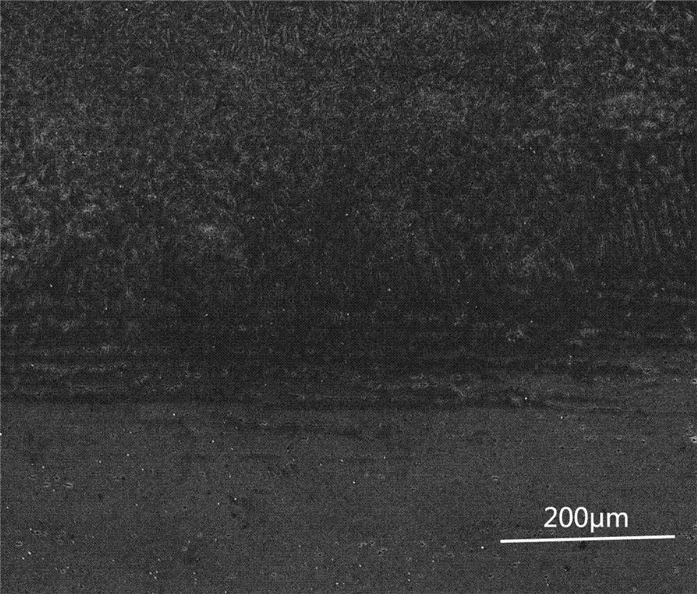 Method for recovering hammer of refined forging machine through laser cladding