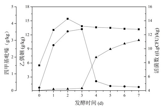 Method for producing acetoin by vinasse fermentation and producing tetramethylpyrazine by acetoin transformation