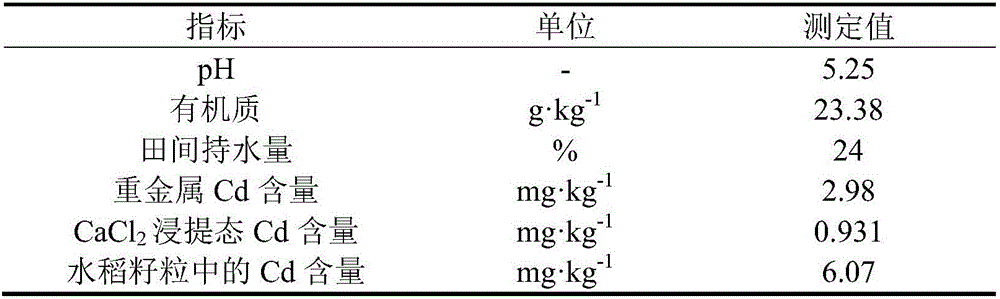 Potassium-type farmland passivation agent based on raw materials of molybdenum ore tailings and preparation method and application of passivation agent