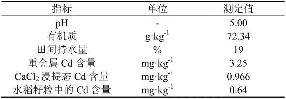 Potassium-type farmland passivation agent based on raw materials of molybdenum ore tailings and preparation method and application of passivation agent