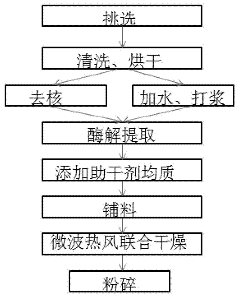 Preparation method of Cangzhou golden silk jujube powder