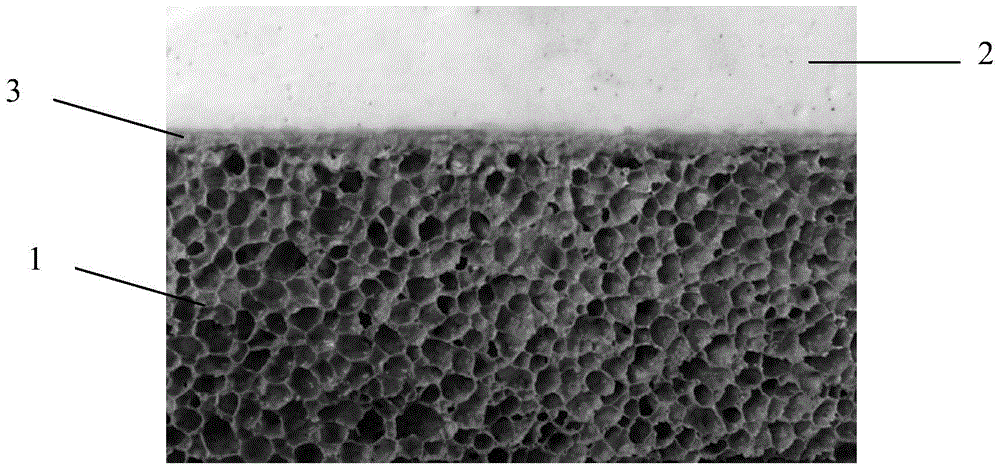 Inorganic thermal insulating decorative panel and production process thereof