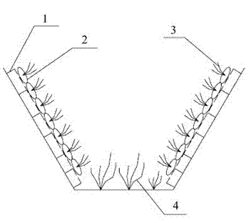 Geo-cell type ecological ditch