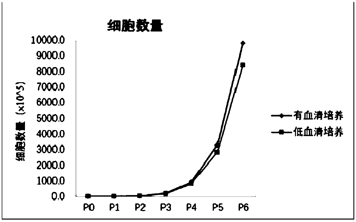 Mesenchymal stem cell, cell culture media and culture method and application