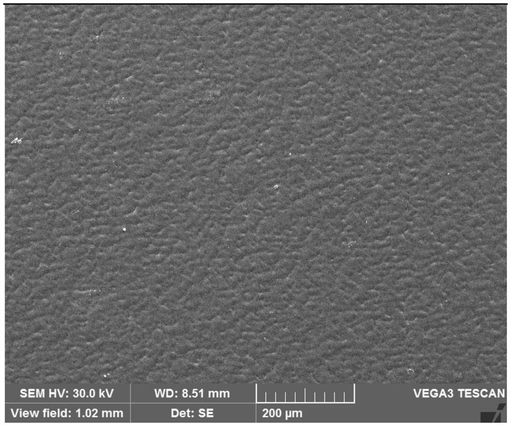 Additives for electrolytic copper foil and its application, electrolytic copper foil and its preparation method and application, lithium ion battery