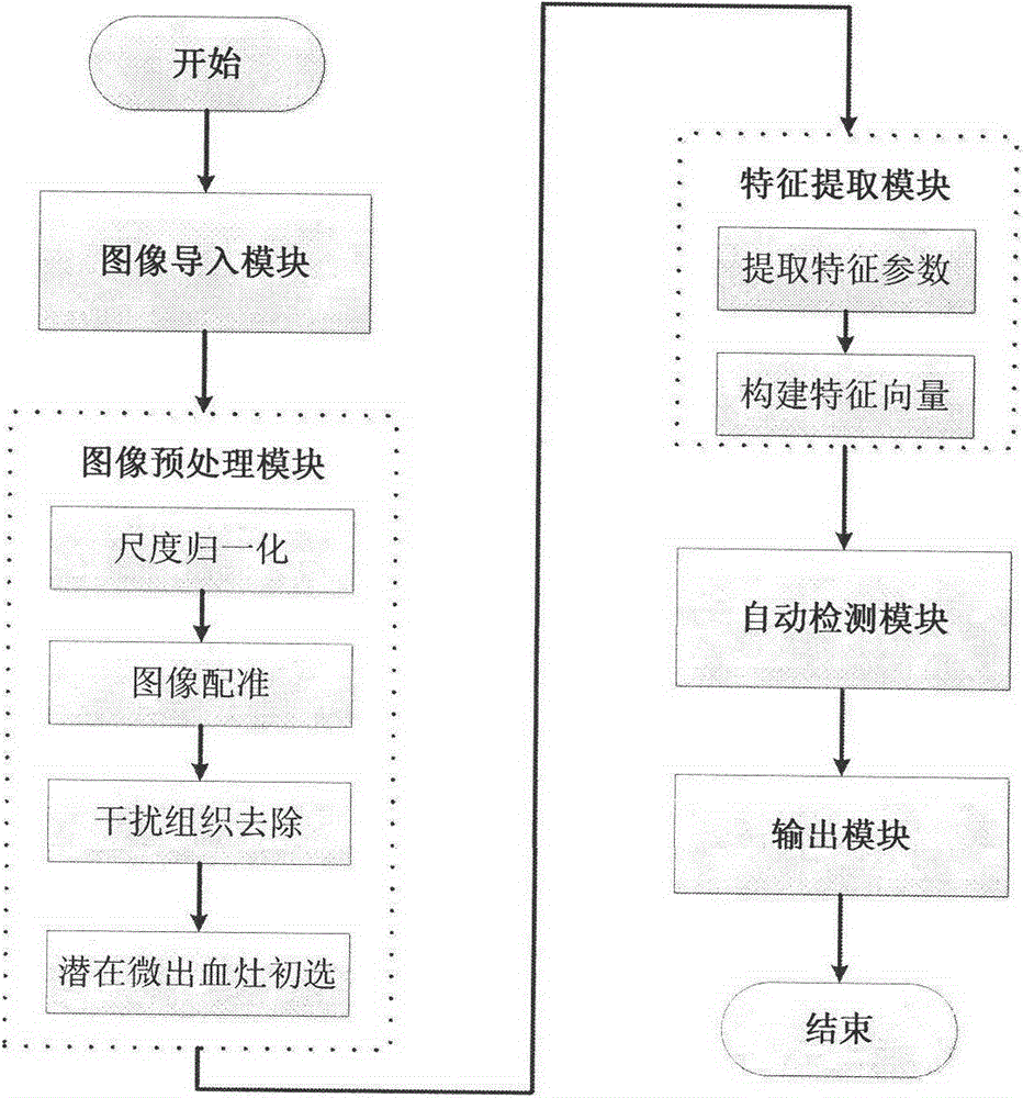 Magnetic resonance image based cerebral micro-bleeding computer auxiliary detection system