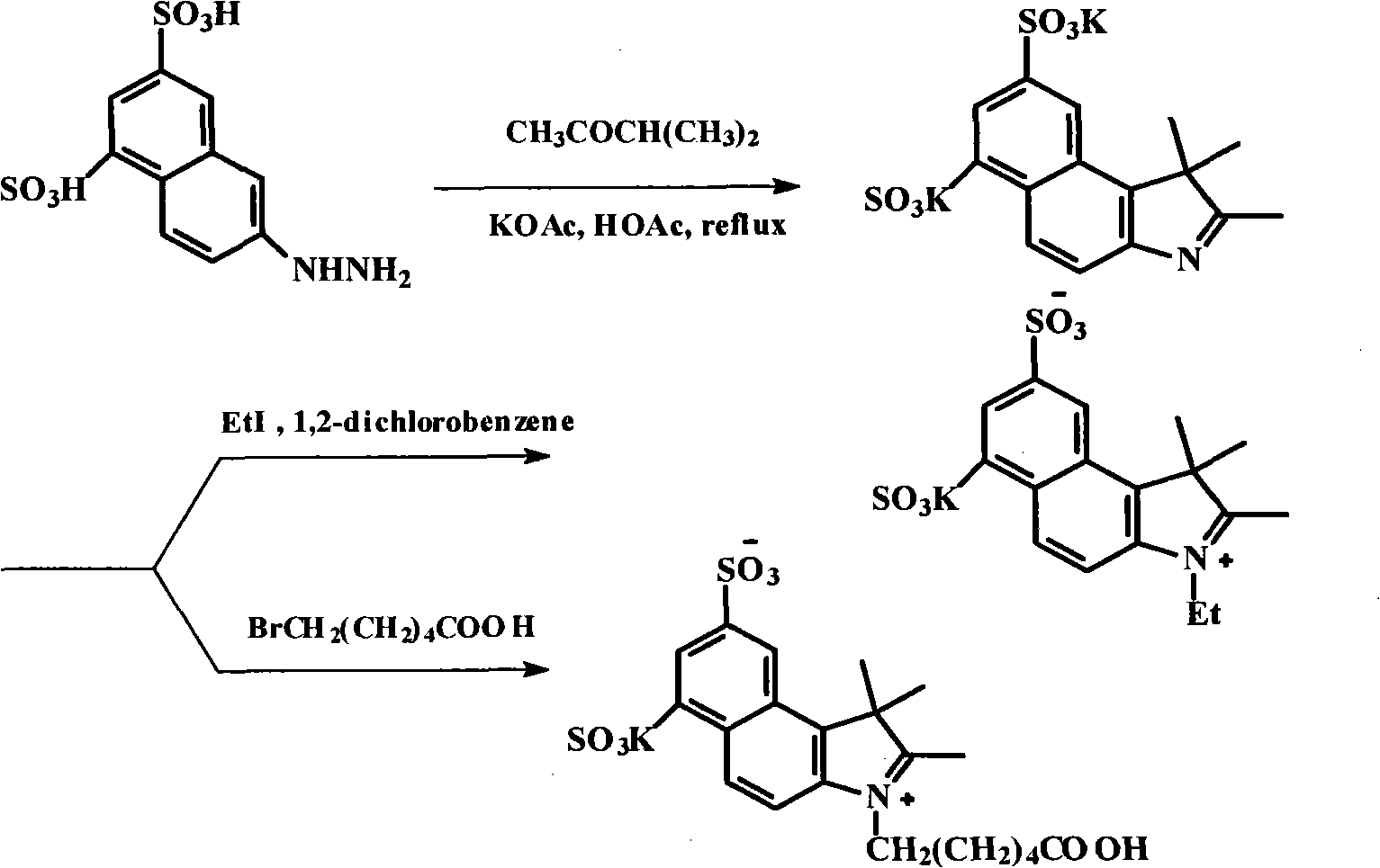 Method for preparing and purifying water-soluble cyanine dye (Cy5.5)