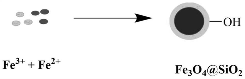 Magnetic solid-phase extraction agent as well as preparation method, application and application method thereof