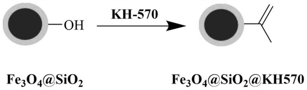 Magnetic solid-phase extraction agent as well as preparation method, application and application method thereof