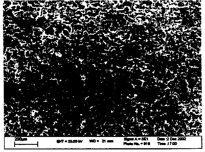 Method for synthesizing NiTi shape memory alloy porous material