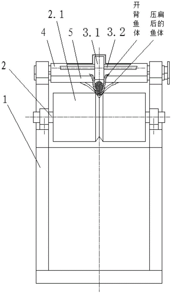 Viscera removing equipment and method for processing back-opened pseudosciaena crocea