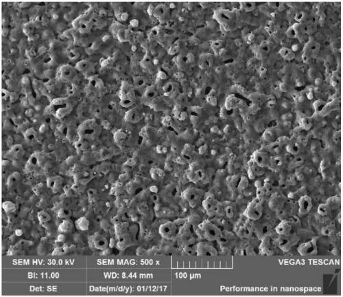 Titanium bolt surface ceramization method based on in-situ growth