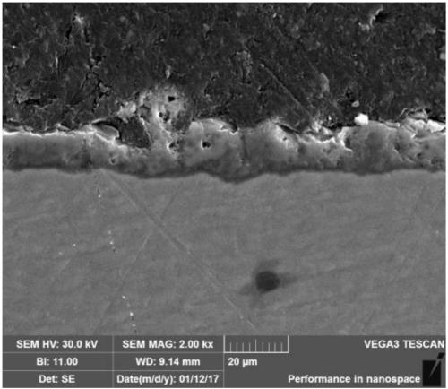 Titanium bolt surface ceramization method based on in-situ growth