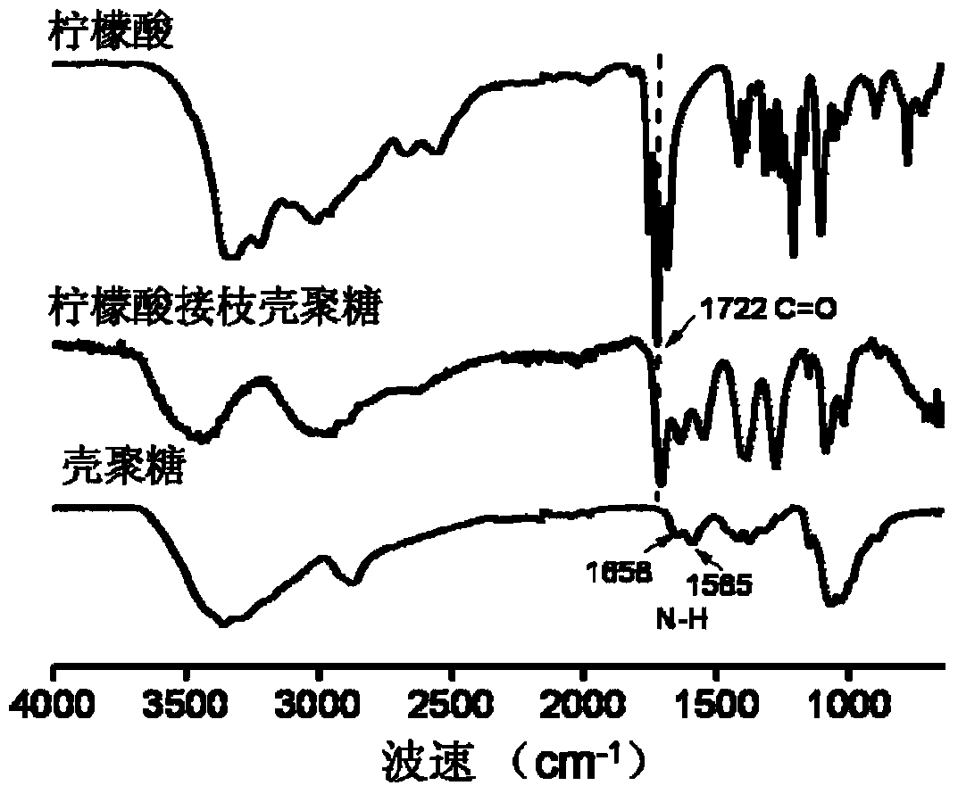 Preparation method of citric acid grafted chitosan hydrogel