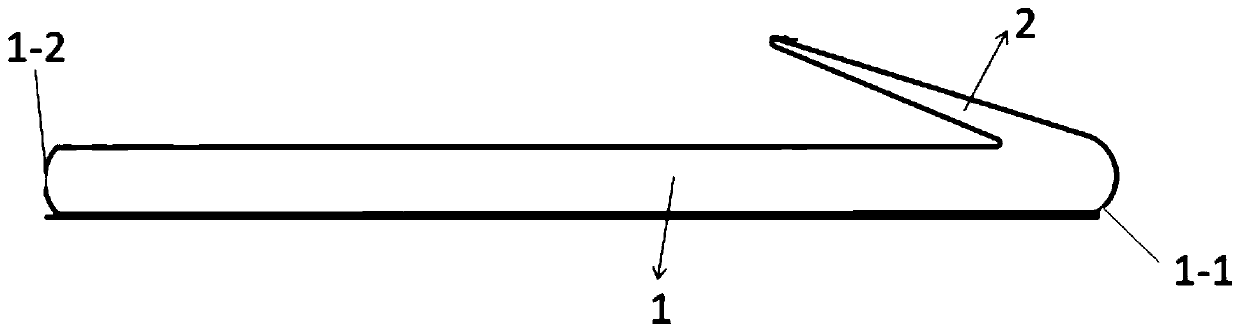 Nasal cavity implant and application thereof