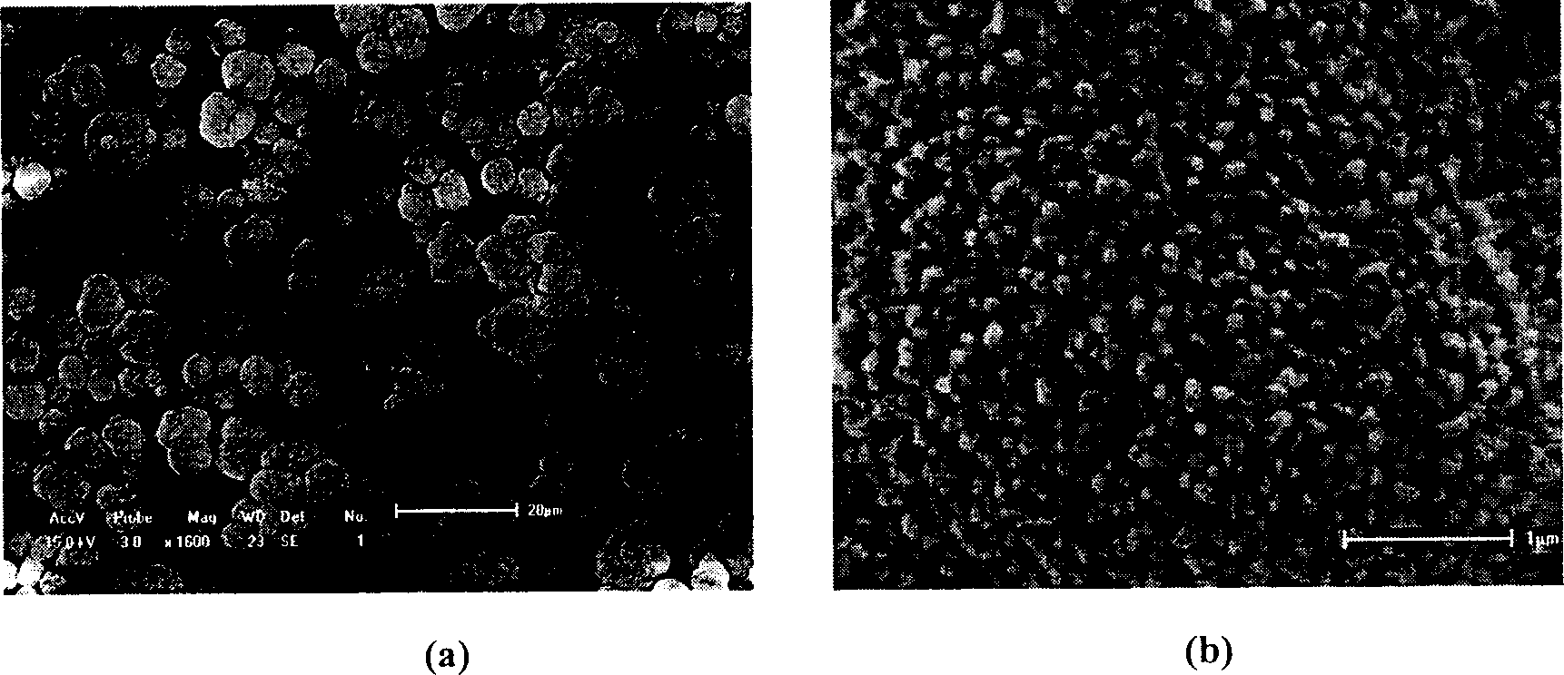 Double ingredients organic gelatin and liquid crystal gelatin and its preparation method