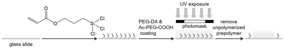 Hydrogel-Based Method for Fluorometric Analysis of HCR and Cation Exchange Reactions