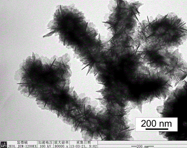 A nanofiber coupling structure gas-sensing material and its preparation method and application