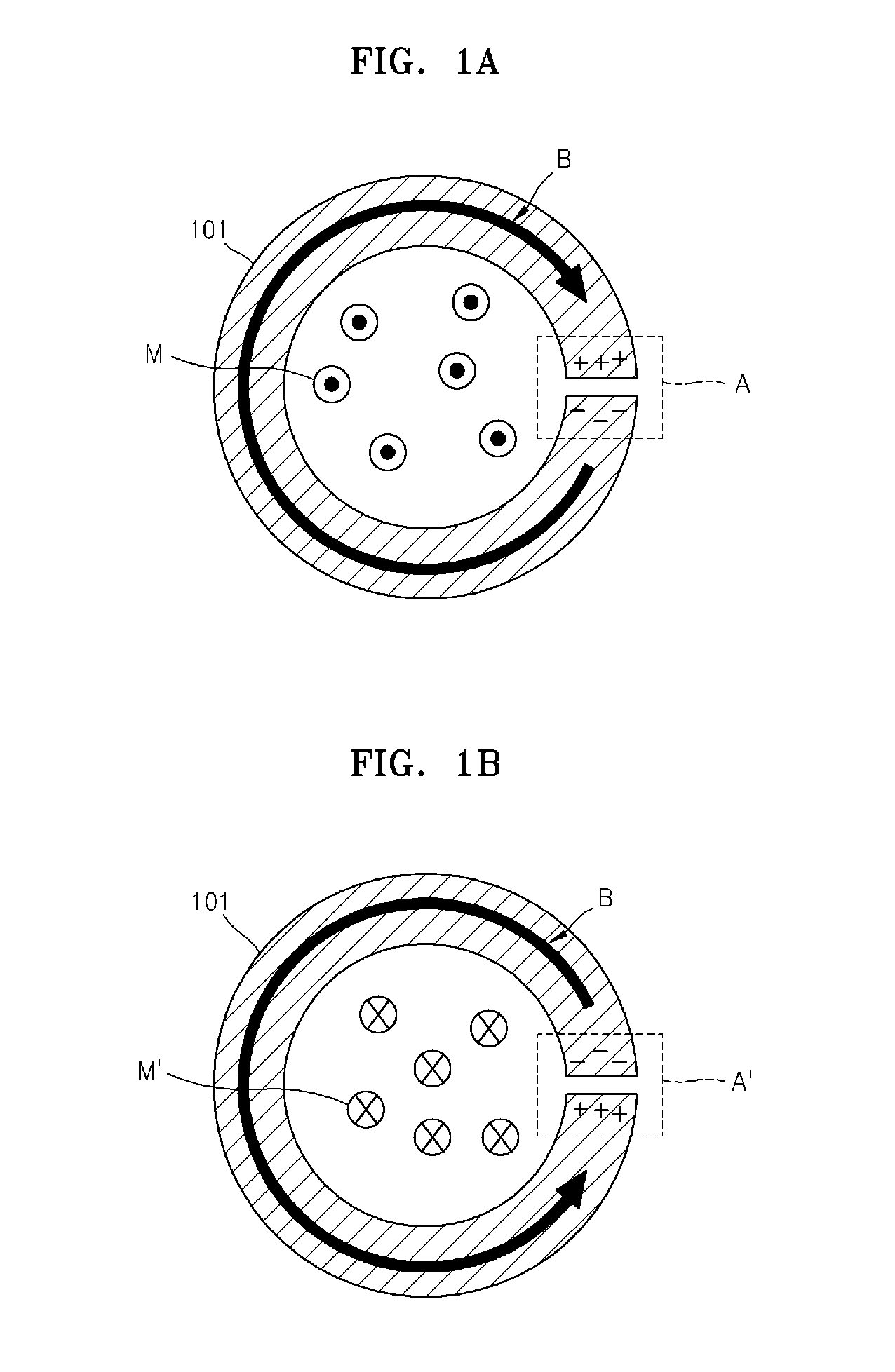 Wearable magnetic resonator for MRI resolution improvement, and application device including the same