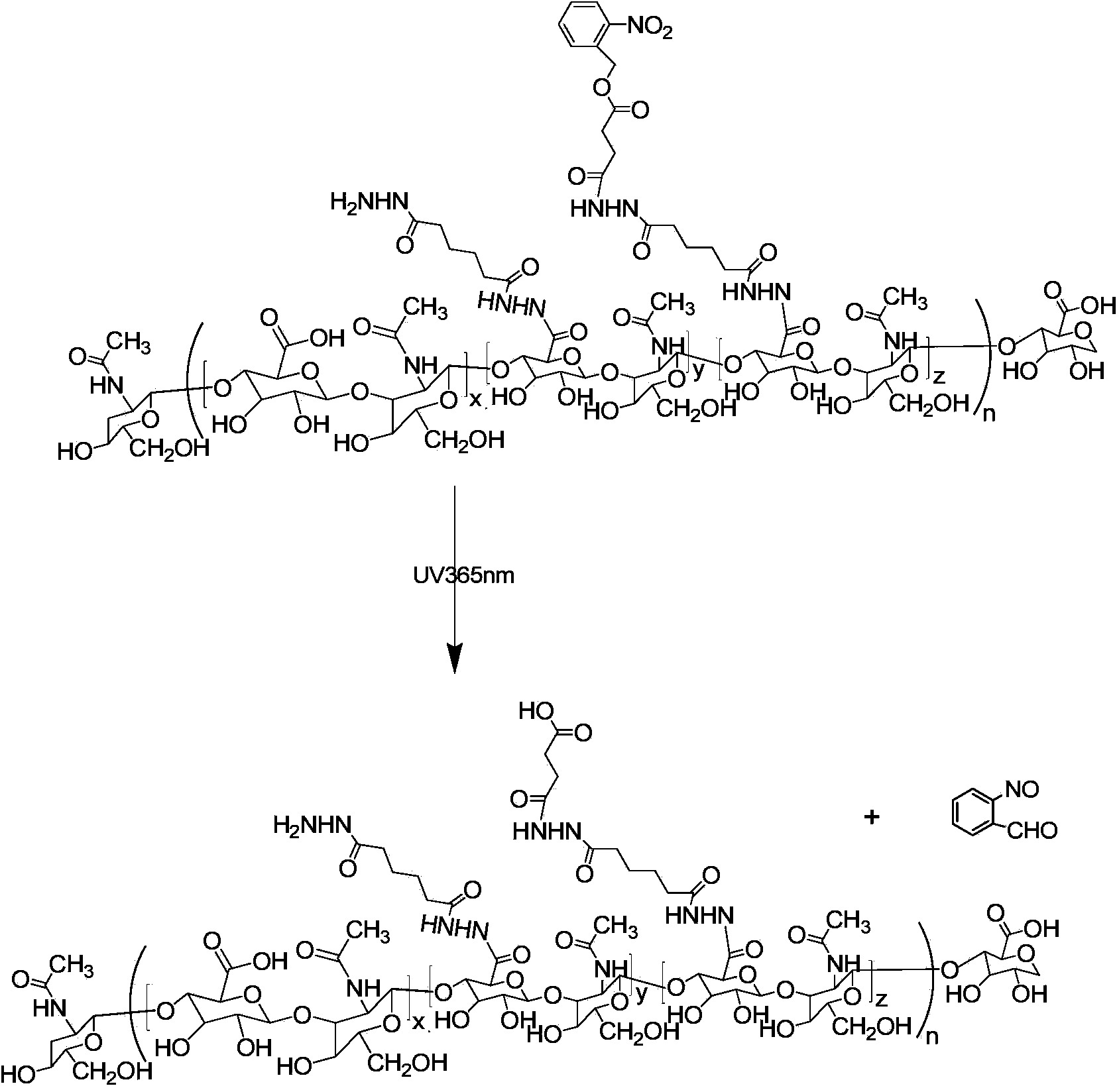 Polymer, light response micelle, light response drug-loading micelle and preparation methods thereof