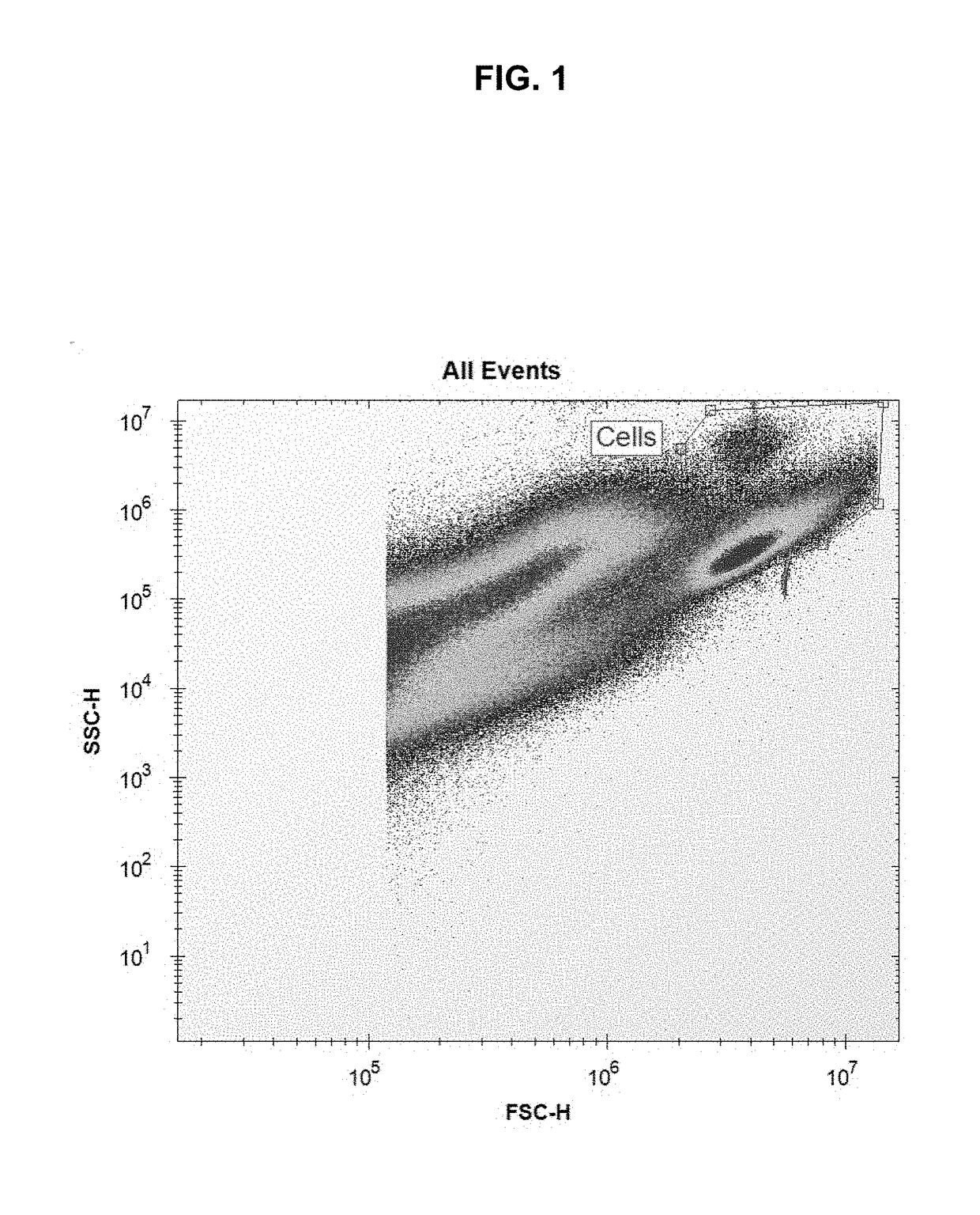 High-efficiency transfection of biological cells using sonoporation