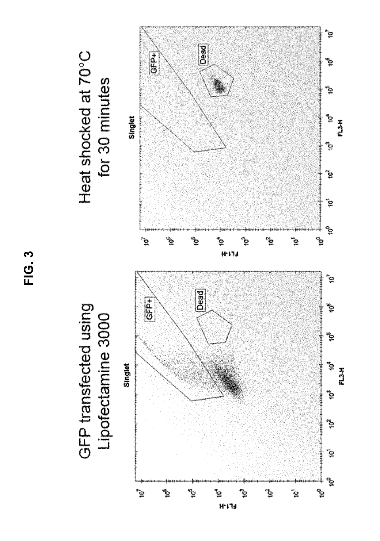 High-efficiency transfection of biological cells using sonoporation