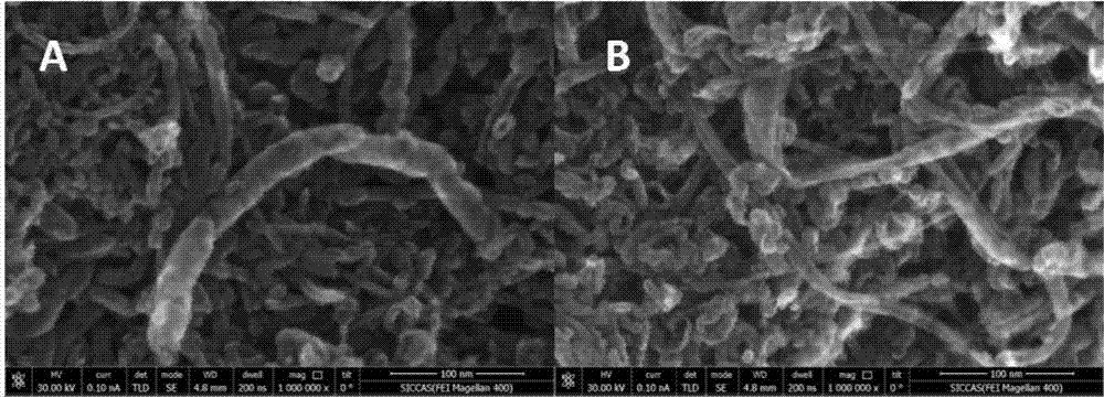 Method for synthesizing heterogeneous atom doped carbon material through one-step process