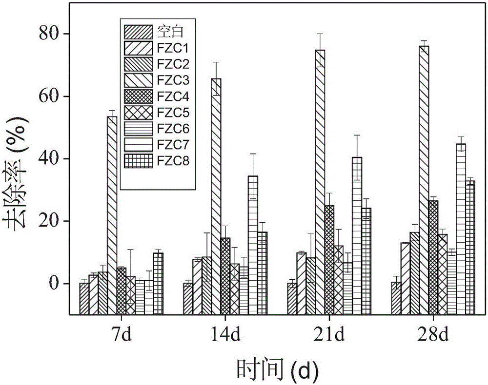 Gentamicin degradation fungus and application thereof