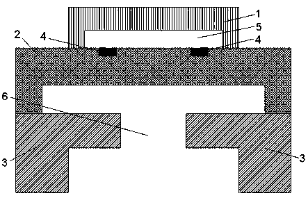 A kind of sensor and preparation method thereof