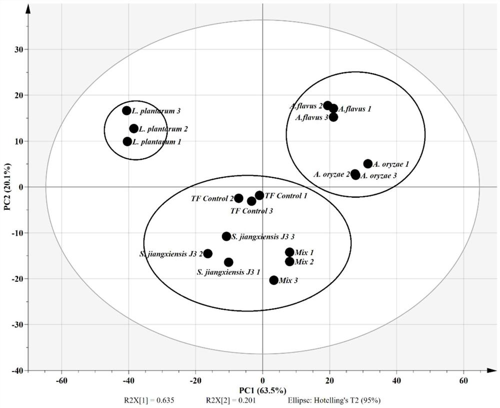 Saccharopolyspora jiangxiensis and applications thereof in food