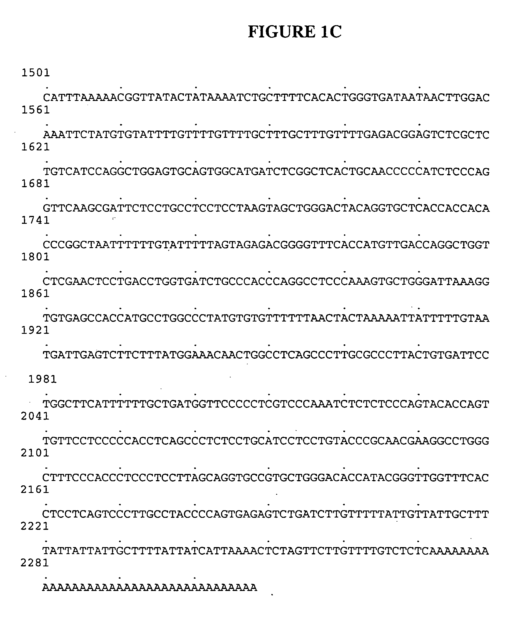 Antibodies to Chemokine Alpha-5