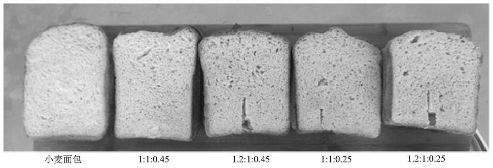 Low-GI oat fructose bread and preparation method thereof