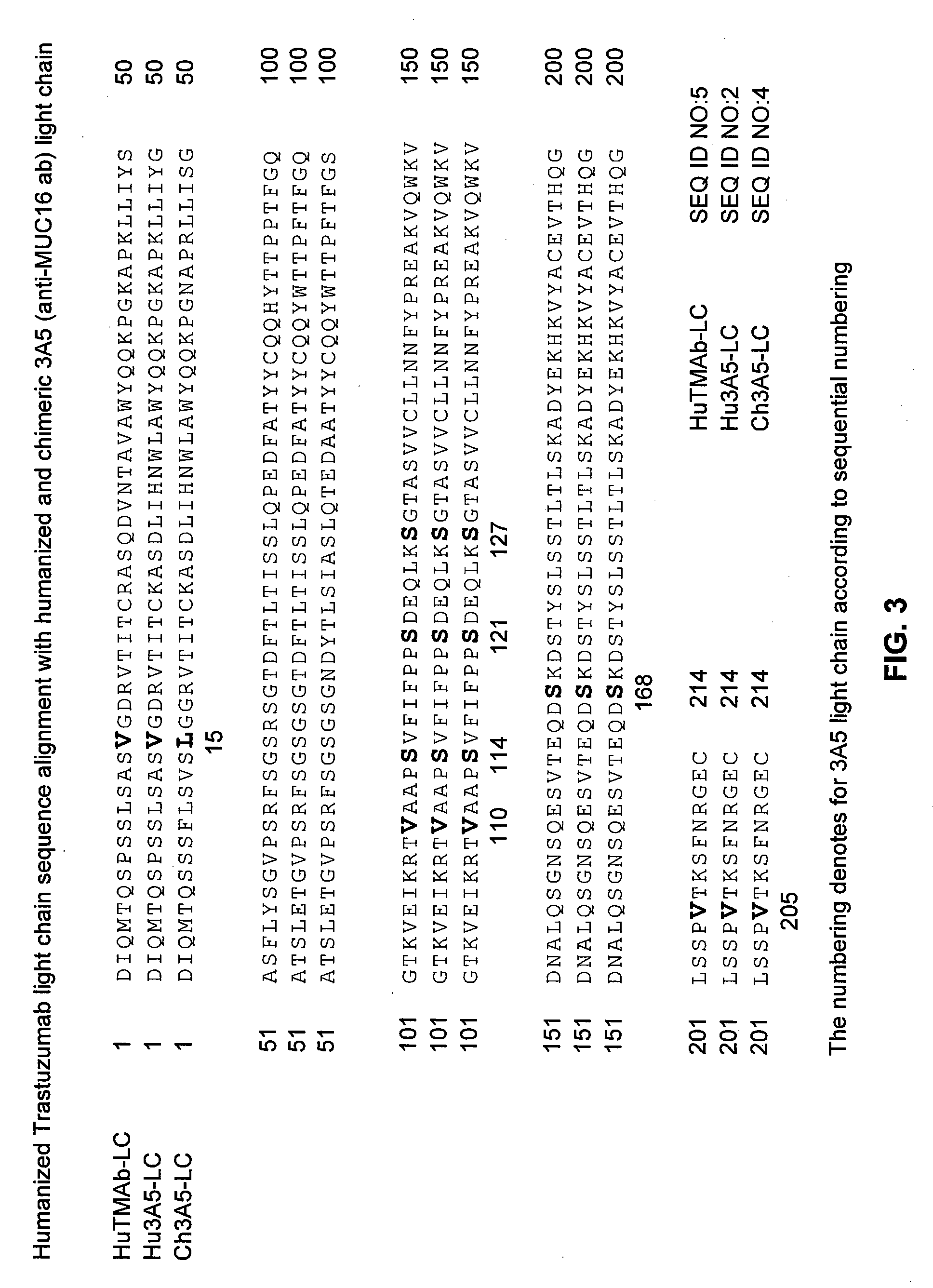 Cysteine engineered Anti-muc16 antibodies and antibody drug conjugates