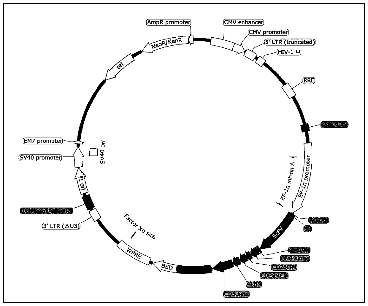 Chimeric antigen receptor targeting CD99 and its application