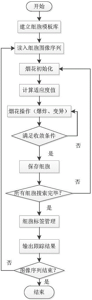 Fireworks algorithm-based multi-cell tracking method