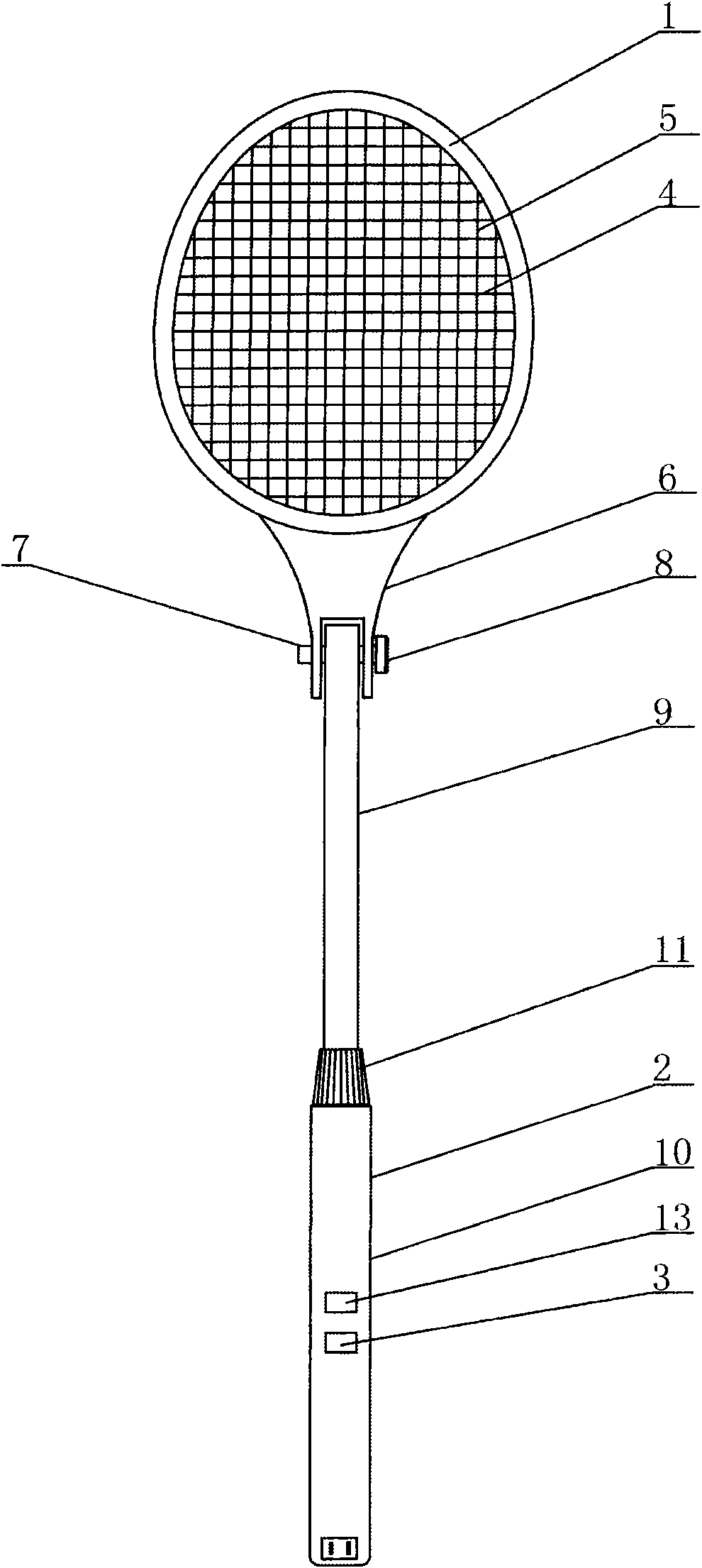 Multifunctional electric mosquito-fly-flap