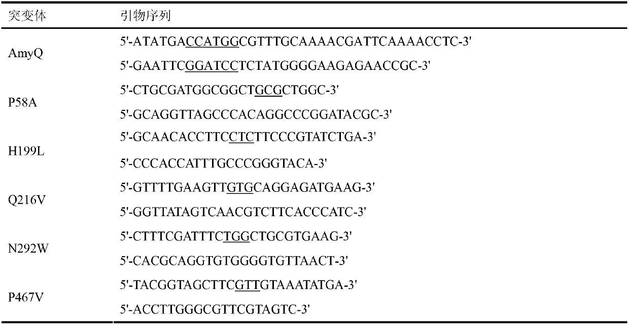 Amylase mutant with improved heat stability and application thereof