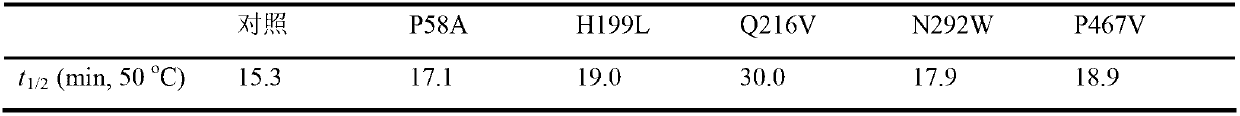 Amylase mutant with improved heat stability and application thereof