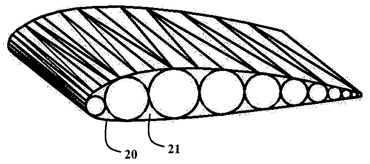 Deployable, rigidizable wing