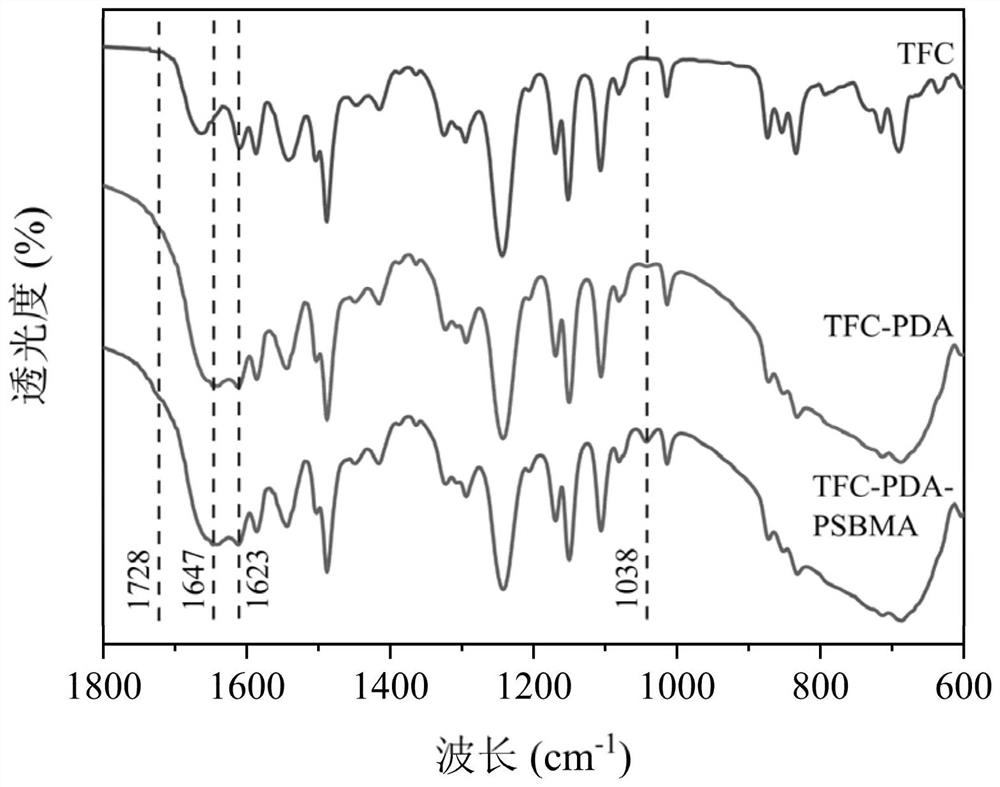 Amphoteric substance-based polyamide nanofiltration membrane surface modification method