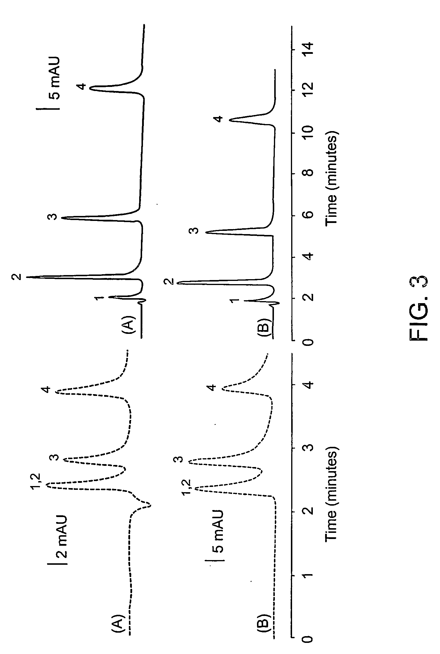 Polymeric solid supports for chromatography nanocolumns