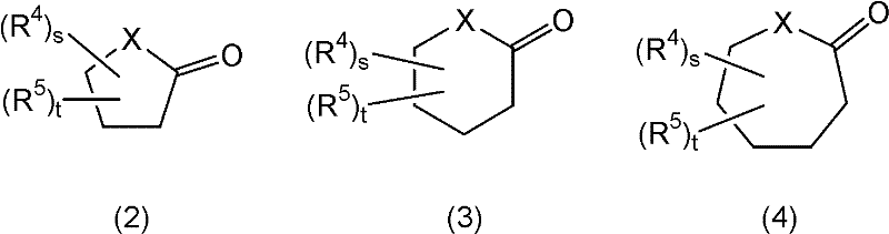 Separated two-layer hair cosmetic