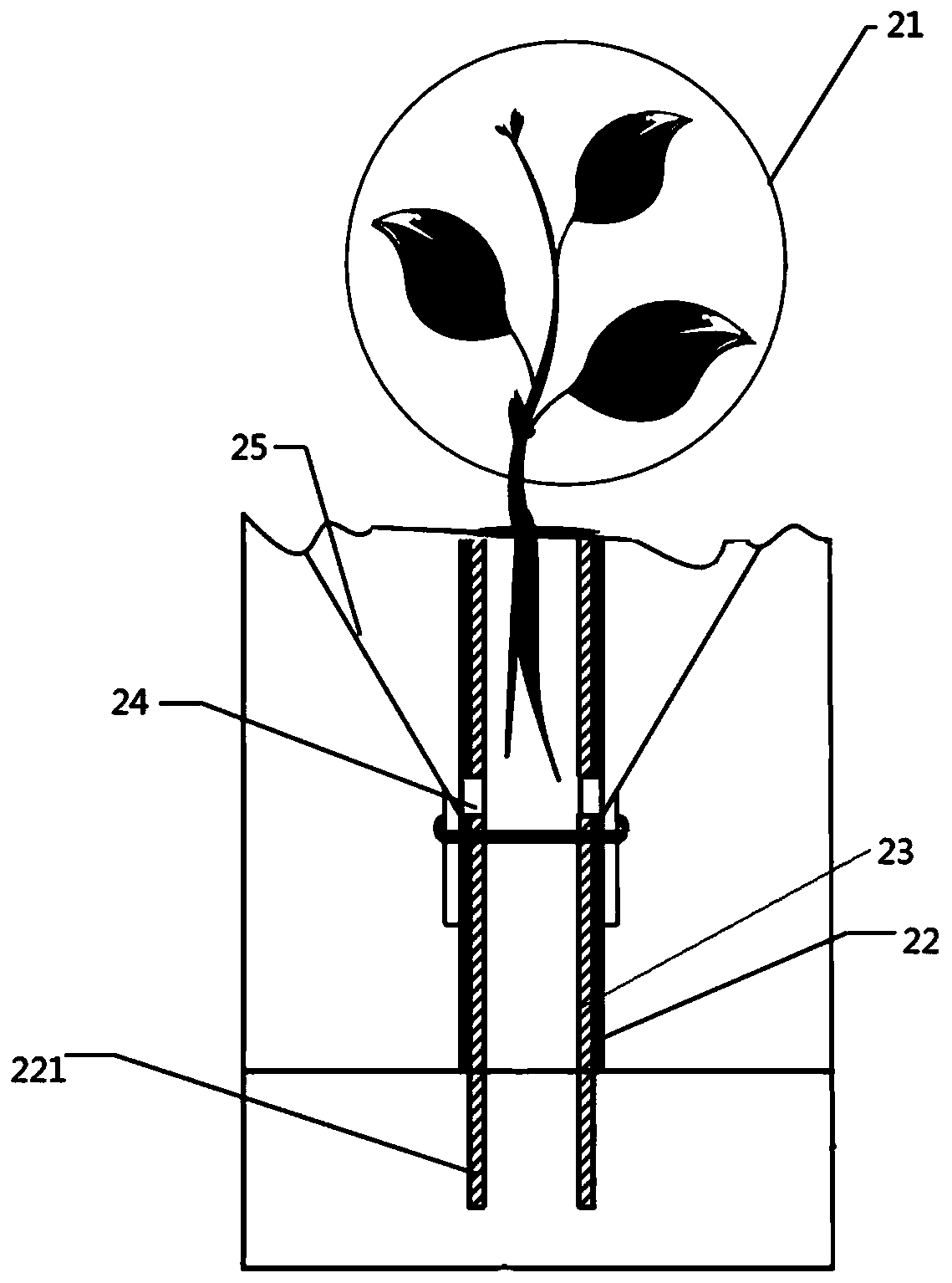 Planting set for arid and rainless zones and application thereof