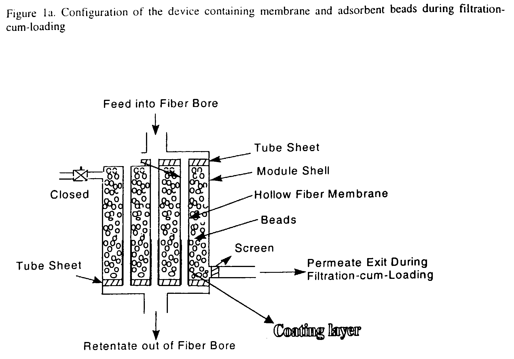 Method and apparatus for isolation and purification of biomolecules