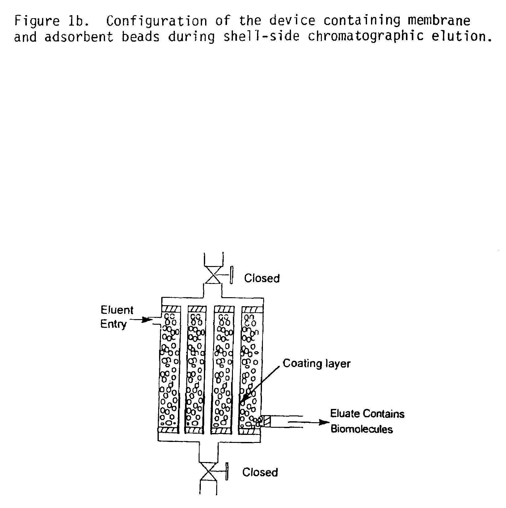 Method and apparatus for isolation and purification of biomolecules