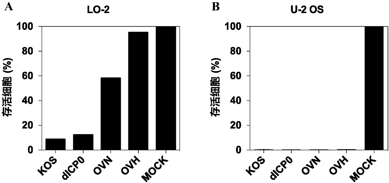 Recombinant herpes simplex virus and application thereof