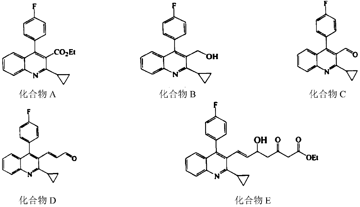 Synergistic system of plant extracts with antibacterial activity