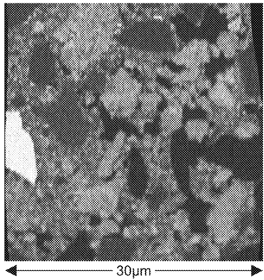 Exhaust gas purification catalyst