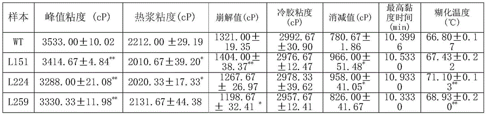 Plant starch synthesis associated protein IbAATP and encoding gene and application thereof